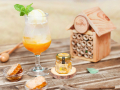 Cafe Roma - Mango Honey Float